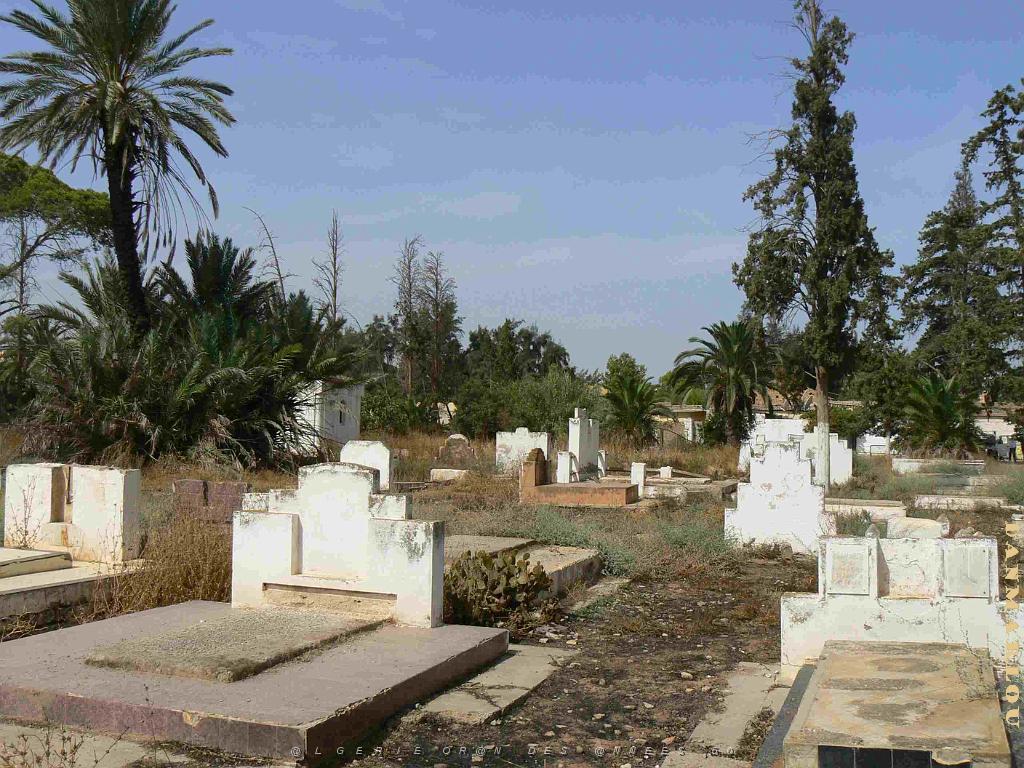 RELIZANE 2009 le cimetiere  (11).jpg